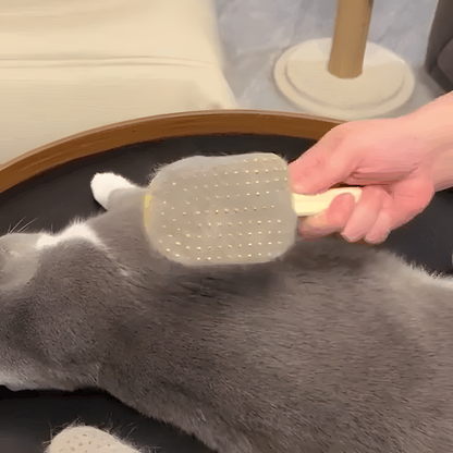 FurLisse gaat over de rug van een kat, de noppen zitten vol losgekomen haar