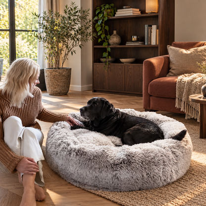 Effico CloudCurl™ anti-stress mand lichtgrijs met labrador