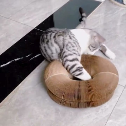 Kat speelt met de PurrWheel