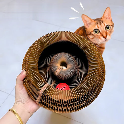 PurrWheel krabspeelgoed in de hand, met een kat erachter