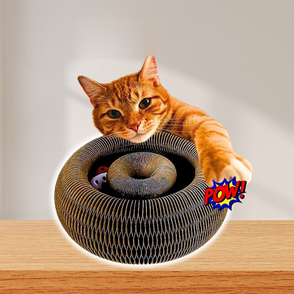 Kat legt zijn poot op de PurrWheel