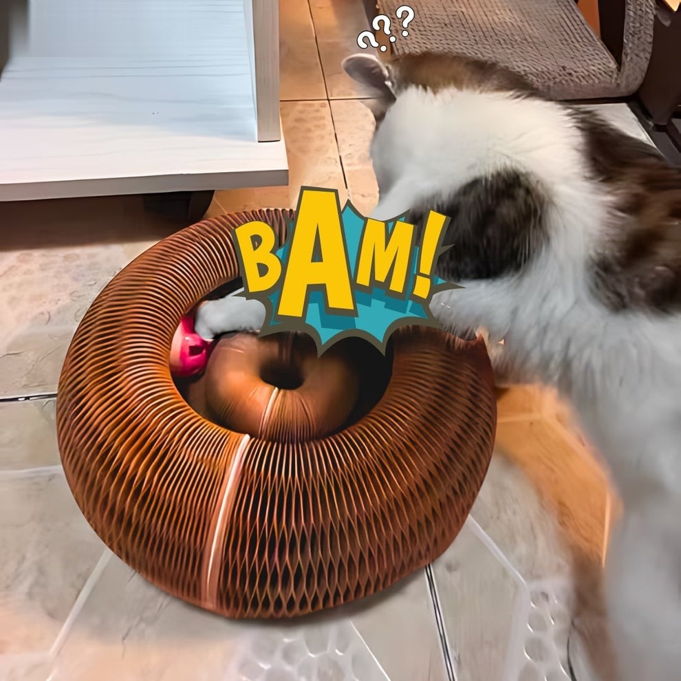 Kat speelt met het balletje in de PurrWheel