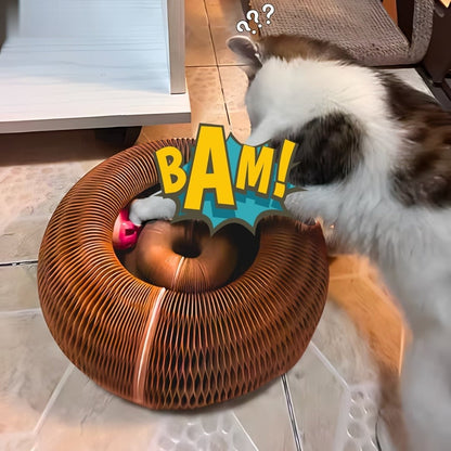 Kat speelt met het balletje in de PurrWheel