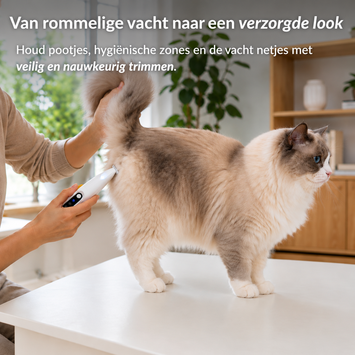 Langharige kat wordt thuis getrimd met de TrimEase
